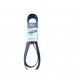 Correia Do Alternador 8Pk1805 Gates