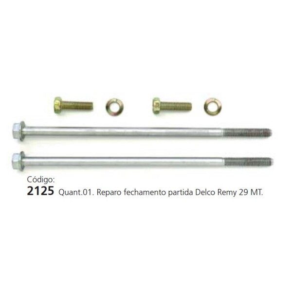 PARAFUSO FECHAMENTO 29MT 24V DELCO REMY