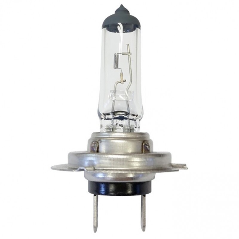 Lampada H7 12V 55W Px26D - Gl