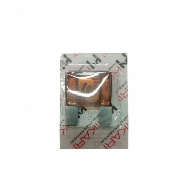 Fusivel Maxi 070A