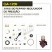 REPARO REGULADOR PRESSAO DE FERRO - QA